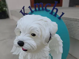 Beloved Shih Tzu