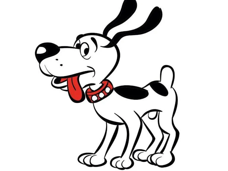 Perro condorito washington