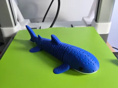 Flexi Whale Shark