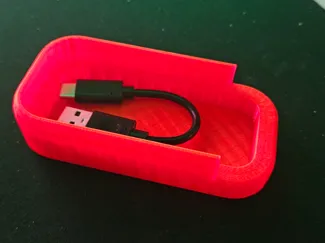 SanDisk case small