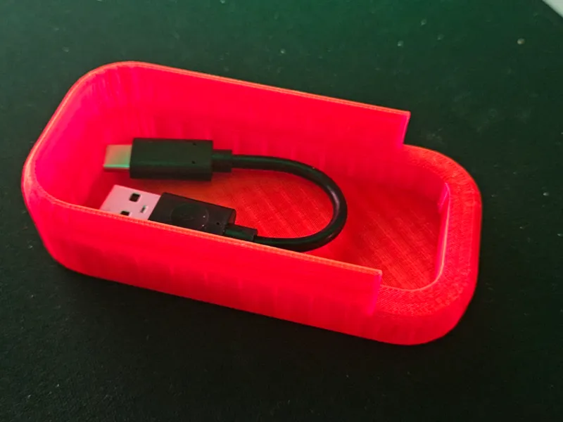 SanDisk case small