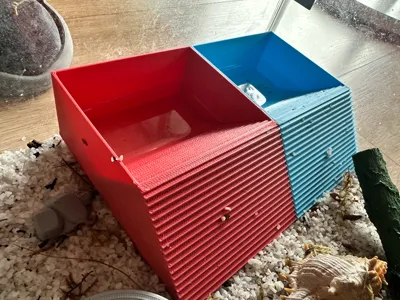 Hermit Crab Drinking and Bathing Pool