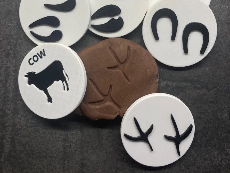 Playdoh animal footprints ( farm ) - CZ/EN