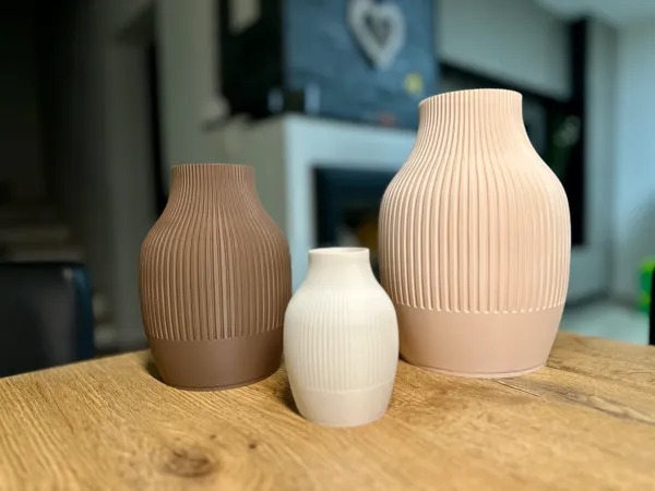 https://makerworld.bblmw.com/makerworld/model/USdfa5b1214d7647/design/717c8eeda21f189e.jpg