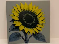 0.08mm layer, 2 walls, 100% infill
