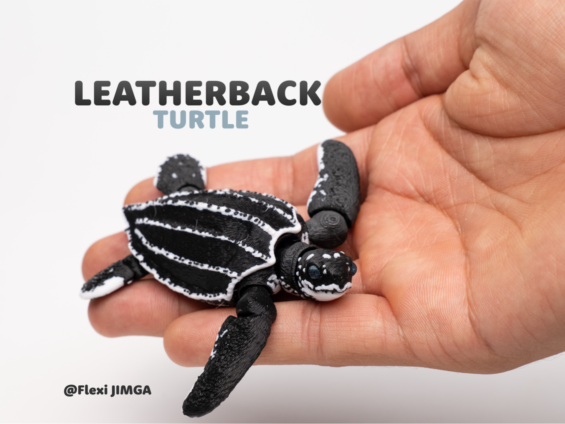 Flexi Turtle Included Non-AMS Version
