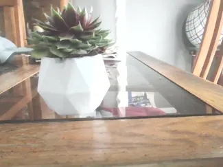 Succulent pot geometric