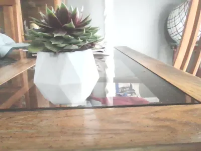 Succulent pot geometric