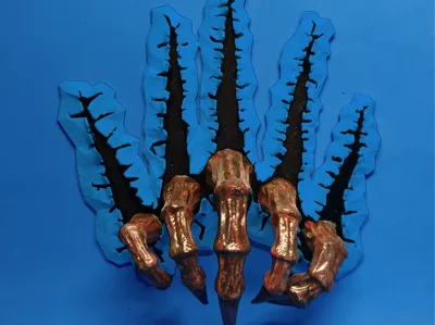 Ripping Claw