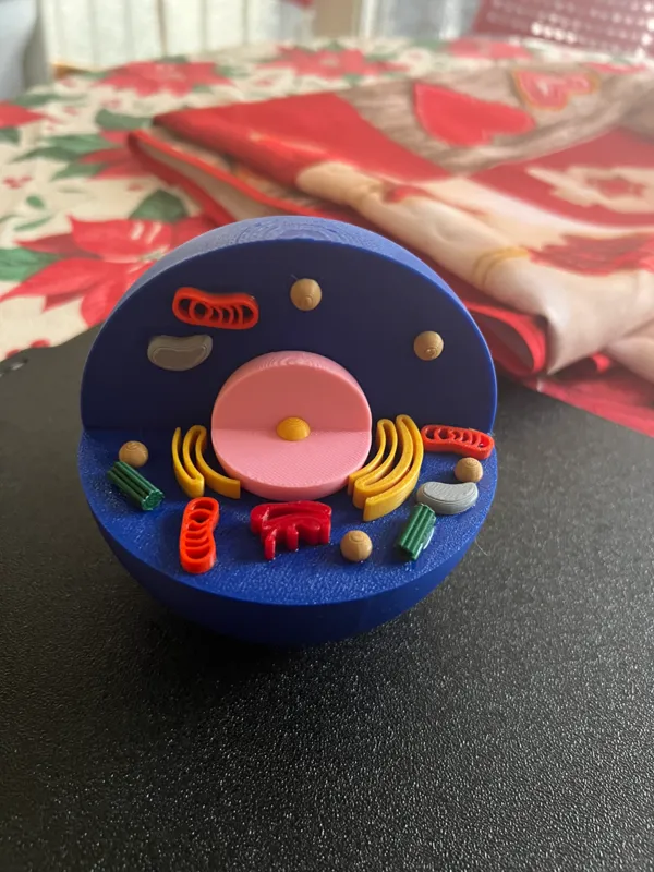 https://makerworld.bblmw.com/makerworld/model/USdfb604ee1a7005/design/2023-12-28_1eb40d8070b21.jpeg