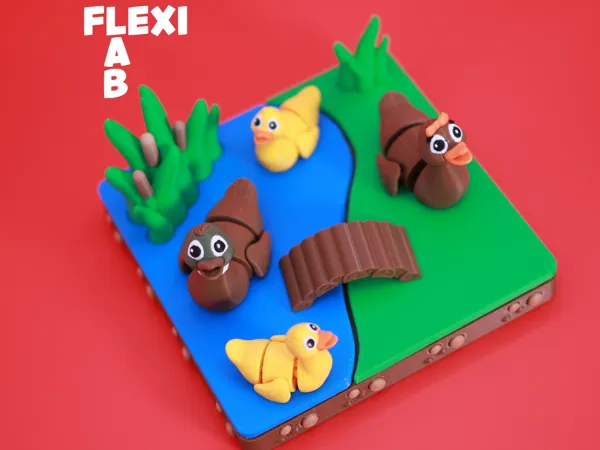 https://makerworld.bblmw.com/makerworld/model/USdfbdc8e9ed8084/design/2025-09-08_cd53fb0721d3a8.jpg