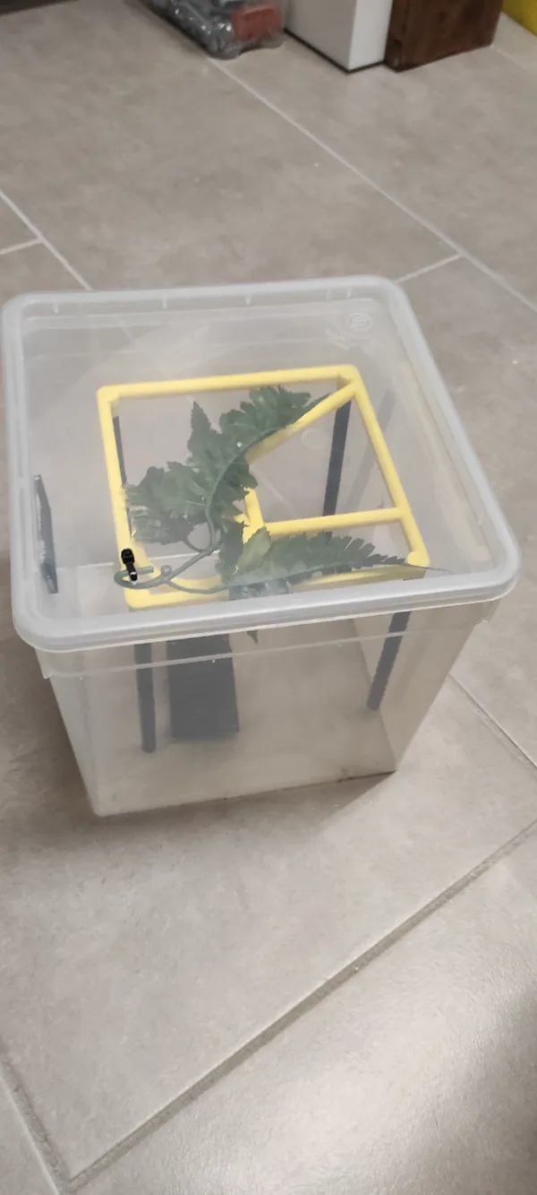 https://makerworld.bblmw.com/makerworld/model/USdfc189c4190301/design/2024-02-03_eca16db45585a.jpg