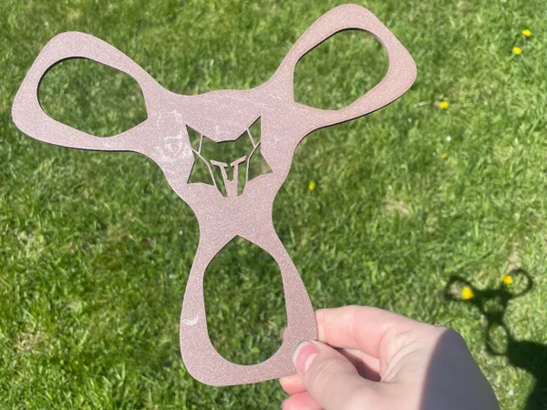https://makerworld.bblmw.com/makerworld/model/USdfc1ad16117667/design/2025-05-10_5de00df1248708.jpg