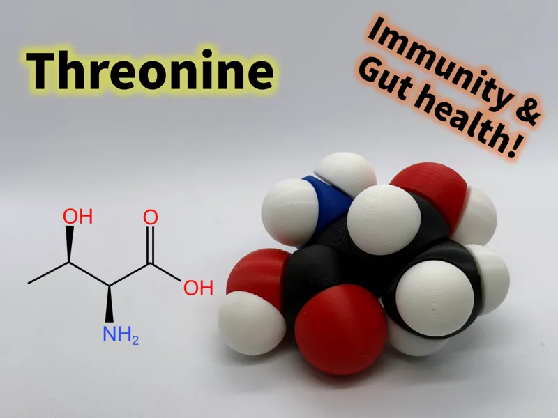 Threonine molfidget with rotatable bonds