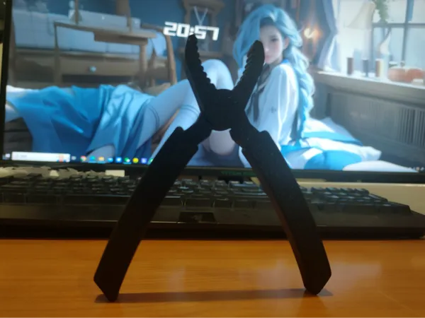 https://makerworld.bblmw.com/makerworld/model/USdfc523bc690155/design/2024-12-16_d8501f867fd49.jpg