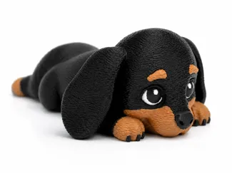 Dachshund Dog