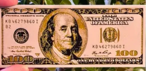 $100