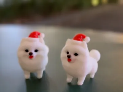 Meet the Santa Pom!