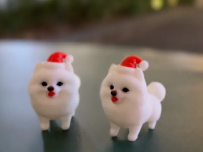 Meet the Santa Pom!