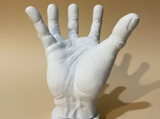 Mano aperta realistica