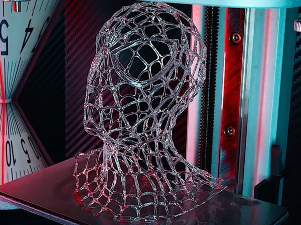 https://makerworld.bblmw.com/makerworld/model/USdfcc98637800bf/design/2024-06-19_fecba45931fc9.jpg