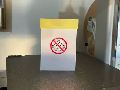 Contraceptive pill funny box - Zoely