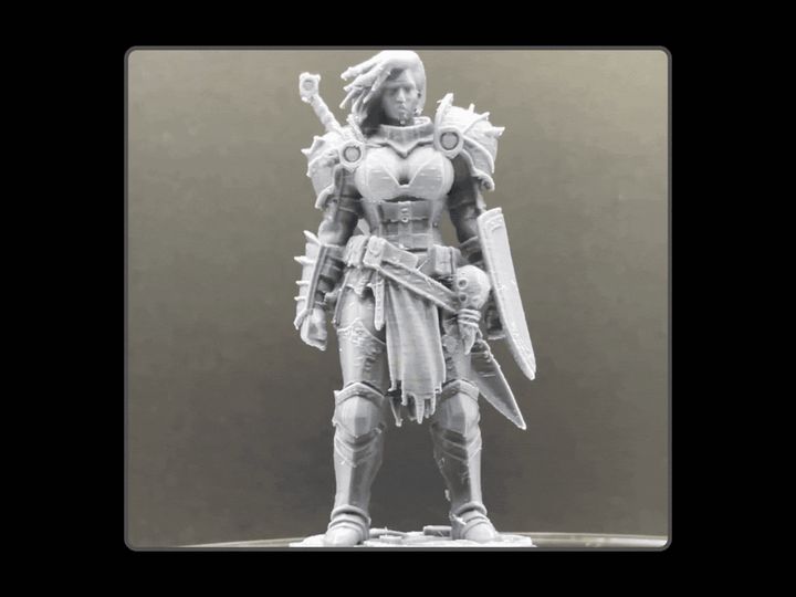 Shieldmaiden Knight | Tabletop sized RPG Warrior