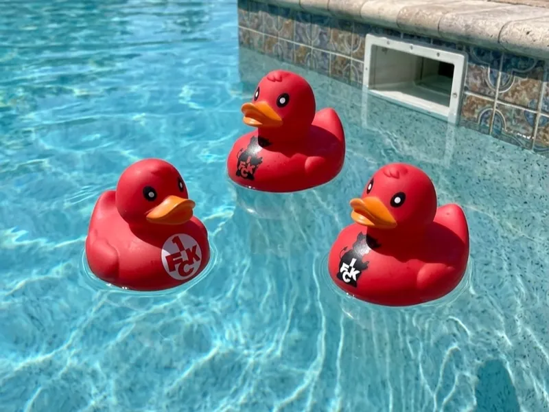 FCK Enten