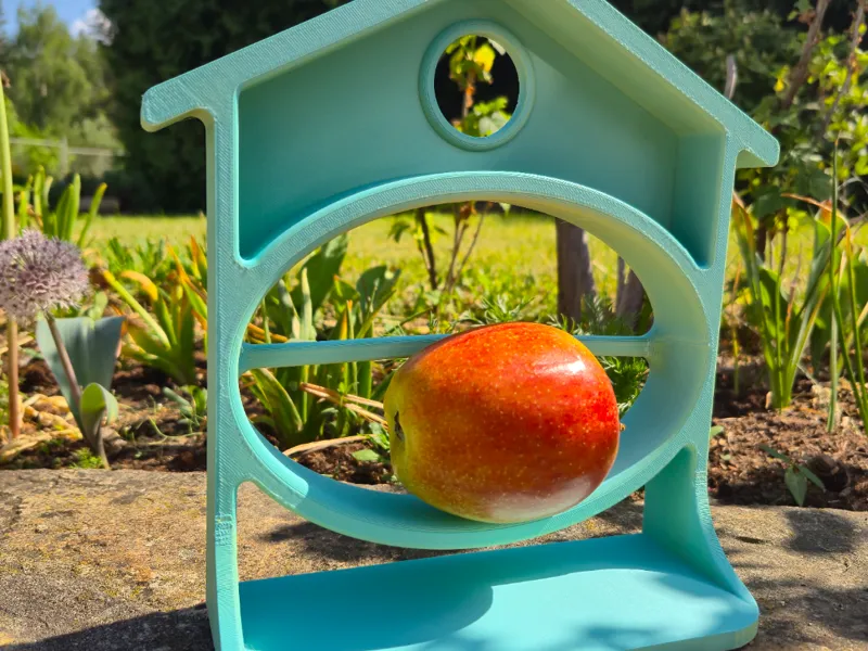 BIRD HOUSE