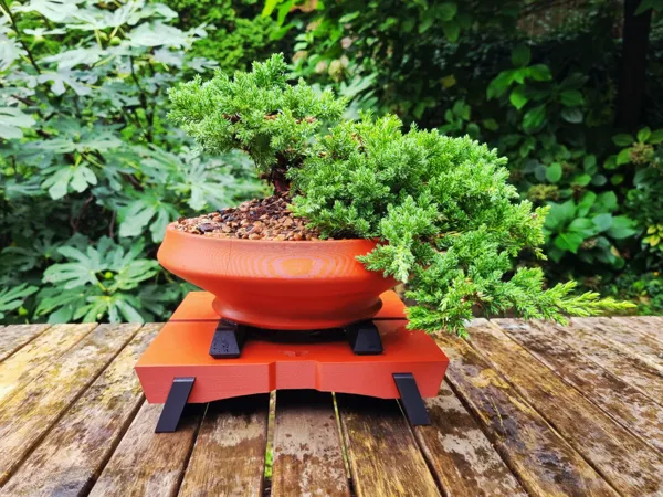 https://makerworld.bblmw.com/makerworld/model/USdfe3bf24163078/design/2025-09-17_b5aac318d6bd38.jpg