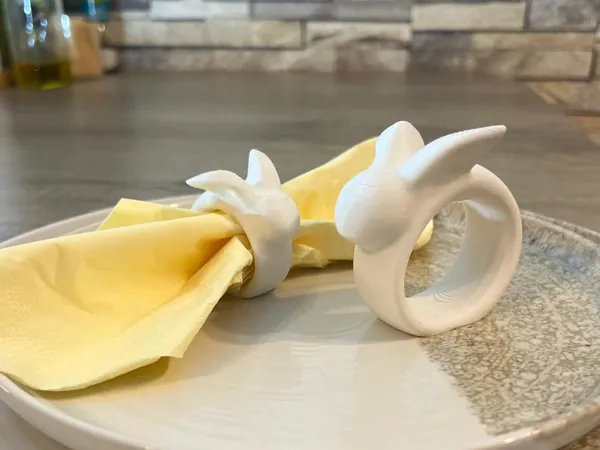 https://makerworld.bblmw.com/makerworld/model/USdfe41660d211e7/design/2025-03-08_9775429c15927.jpeg