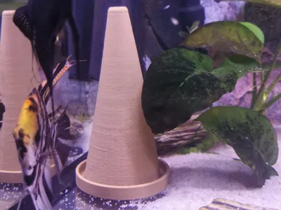 Spawning Cone