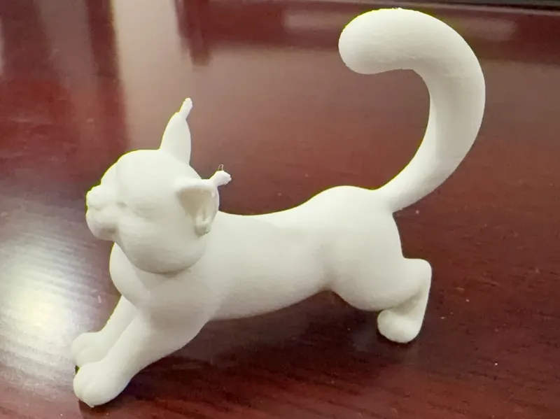 Lynx Cat