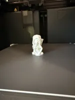 5cm 0.16mm layer, 2 walls, 8% infill