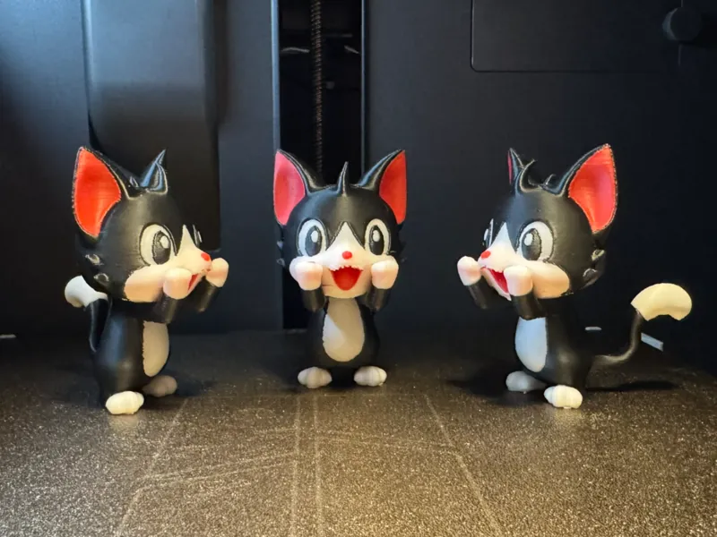 Excited Cat