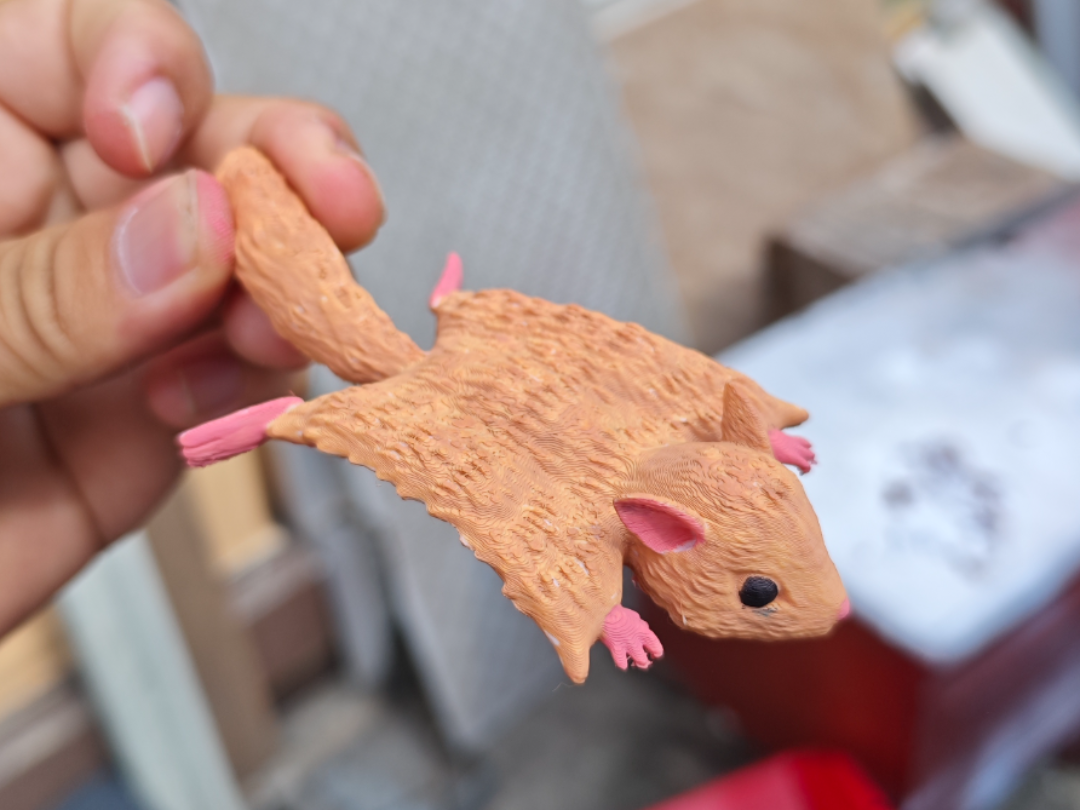 Miniatura 1 do modelo 3D 可爱的小飞鼠