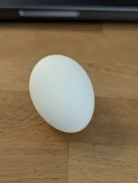 Chicken Size M | 0.16mm, 2 walls, 0% infill, fuzzy skin