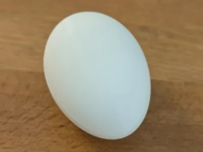 Realistic Bird Egg Generator | Parametric Set
