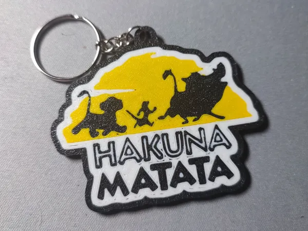 https://makerworld.bblmw.com/makerworld/model/USdffcbf44d7967f/design/fb7ded964ad372c5.jpg