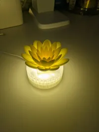 Lotus top 0.2mm layer, 2 walls, 15% infill
