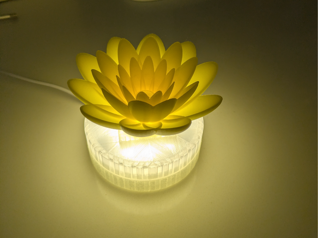 LED light base with interchangeable screw in top