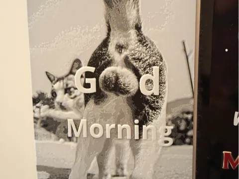 Cuadro decorativo en 3D: Good Morning Fun Cat Hueforge — referencia de MakerWorld