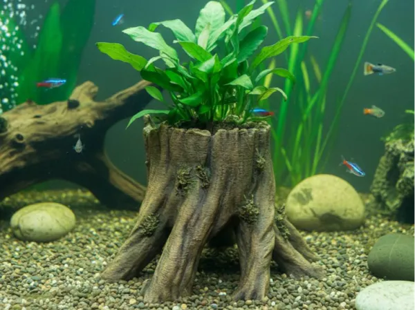 https://makerworld.bblmw.com/makerworld/model/USe0091e0c48f6dc/design/225202f962959efe.jpg