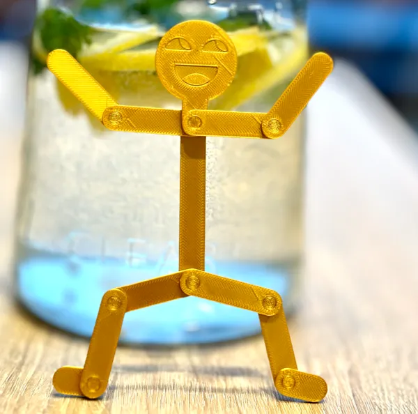 https://makerworld.bblmw.com/makerworld/model/USe00d14569127d9/design/2024-09-24_b35668ef27c62.jpeg