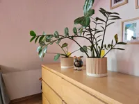 plantpot_small_d100h85