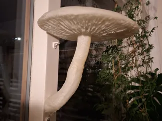 Lifelike Mushroom Shelf