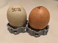0.2mm layer, 2 walls, 8% infill