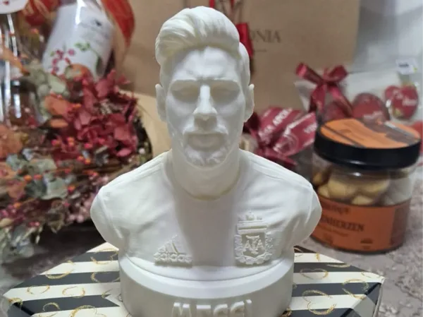 https://makerworld.bblmw.com/makerworld/model/USe012343eea0c0c/design/bd6dbe8c950d07bf.jpeg
