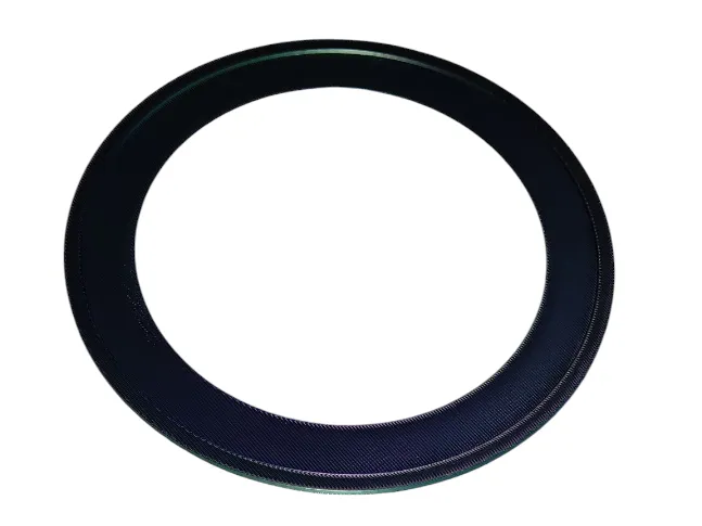 einfache Frisbee
