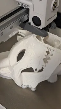 Masque crâne de renard cérémoniel — photo 3